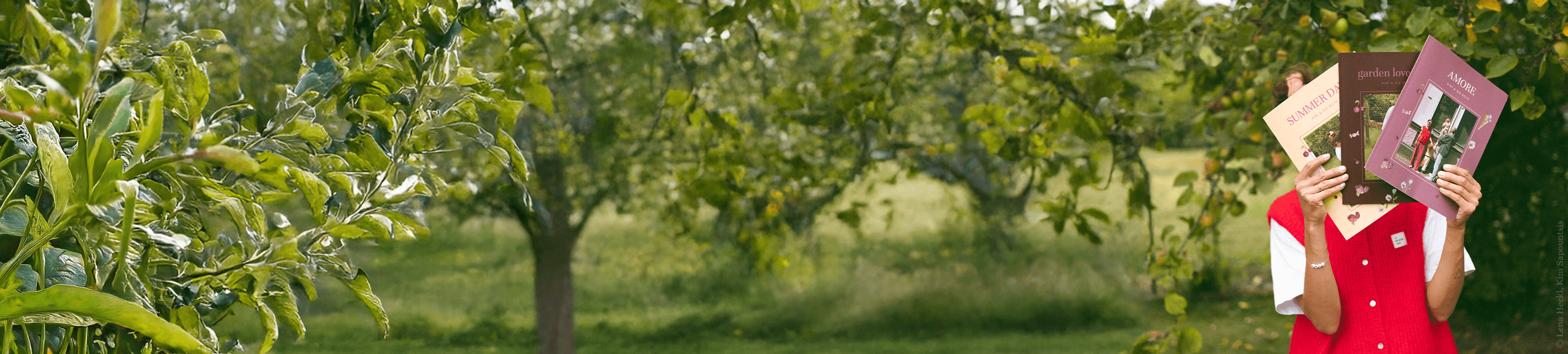 Rosemood x Friedalovesemil