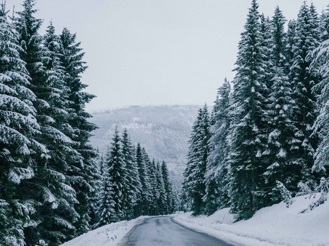 Tipps 7-8 für die perfekten Winterfotos