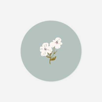 Blossom