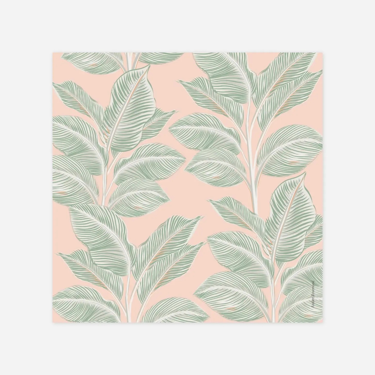 Hochzeit Mini-Einladungskarte Calathea