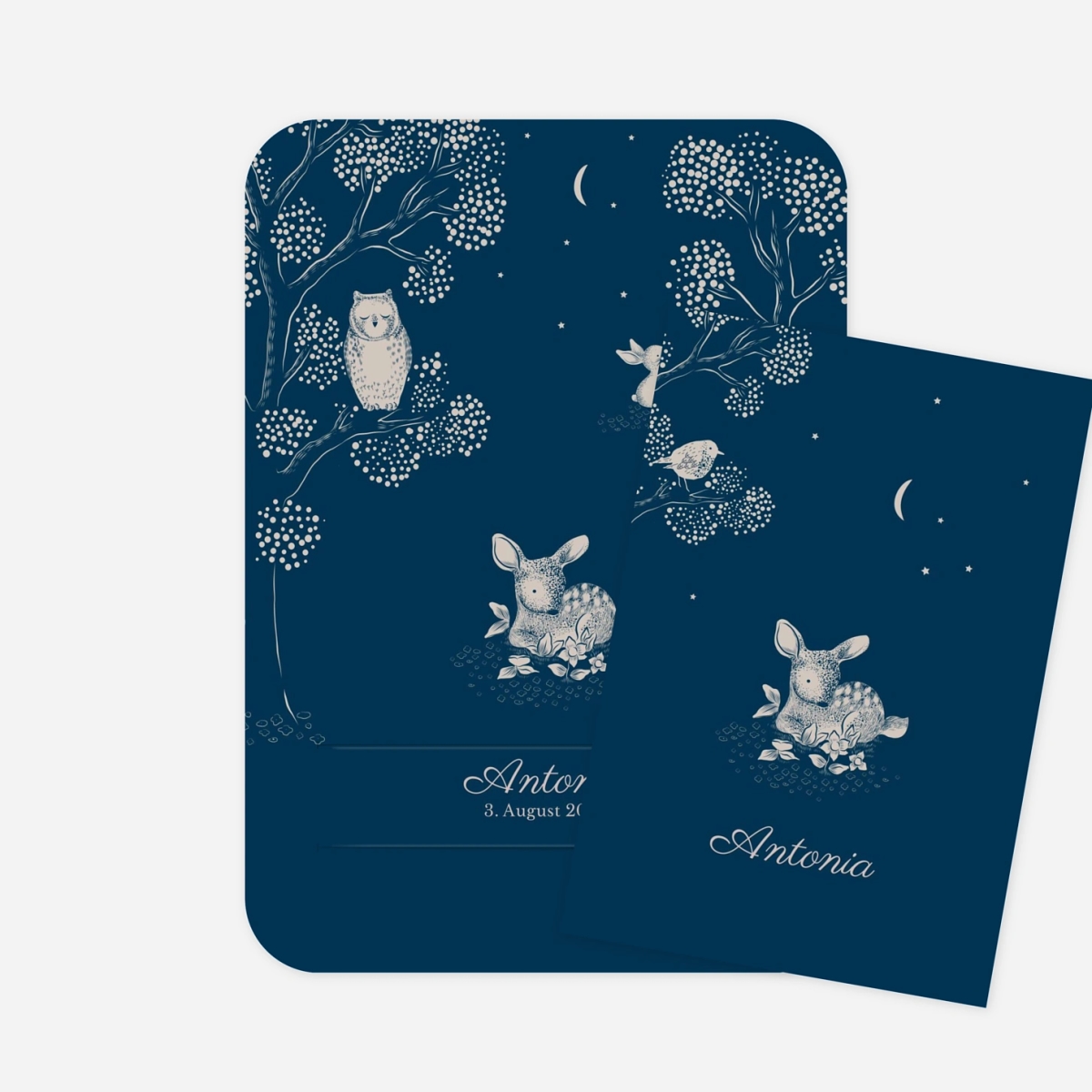 Geburtskarte Gutenachtgeschichte