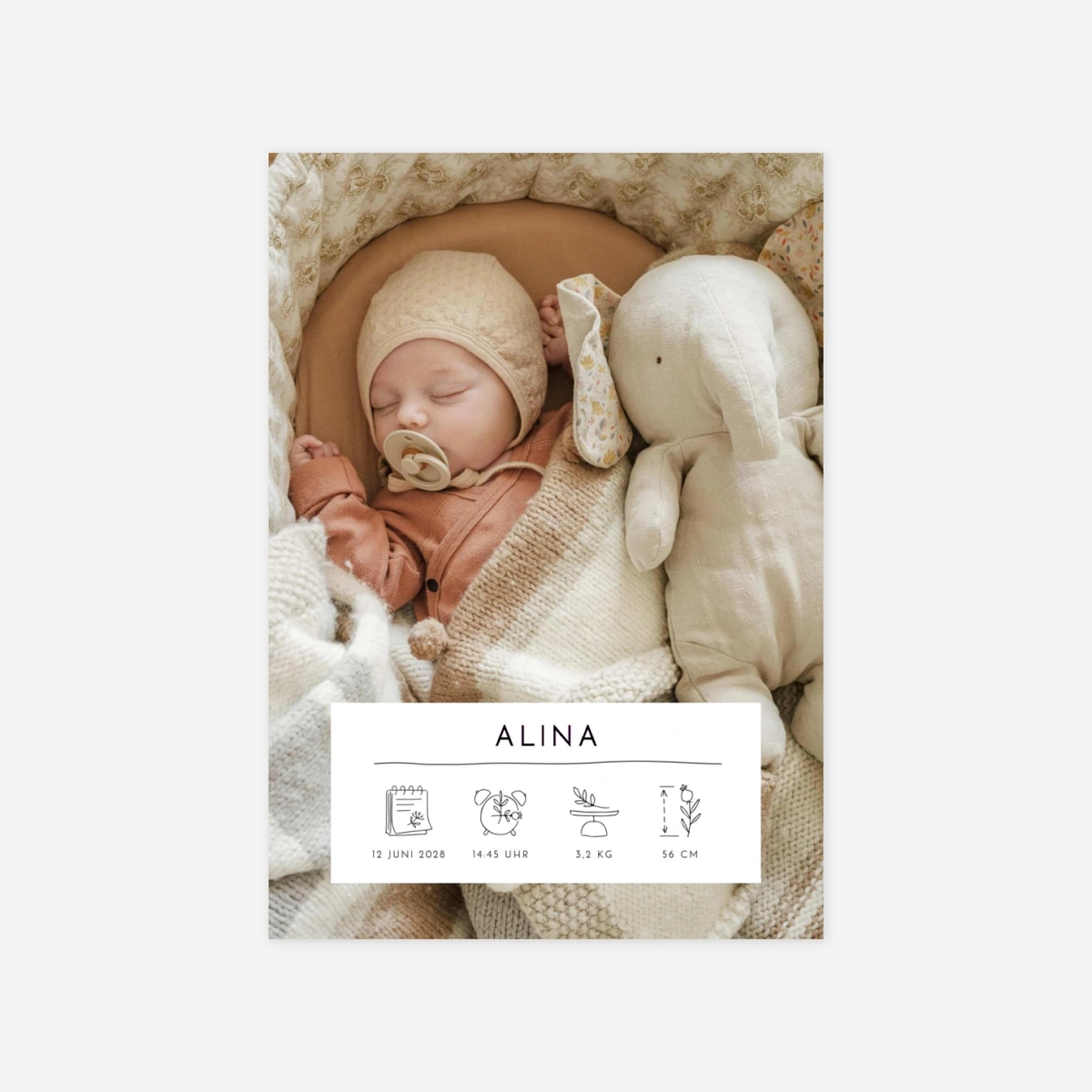 Geburtskarte Kartusche Piktogramme