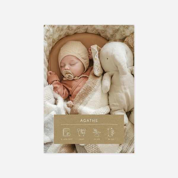 Kartusche Piktogramme