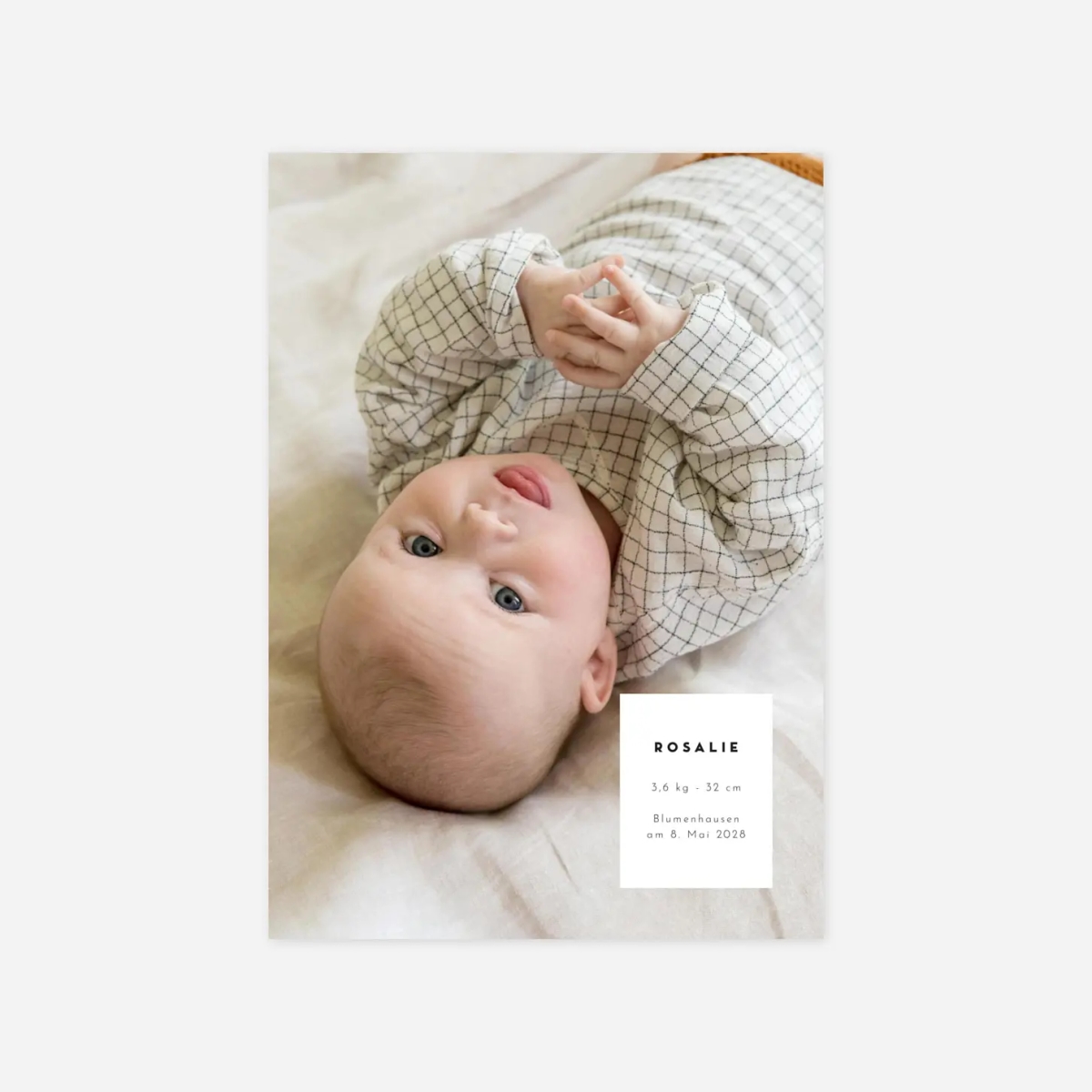 Geburtskarte Kartusche