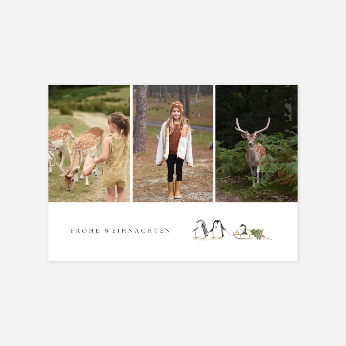 Weihnachtskarte Kleine Eisscholle