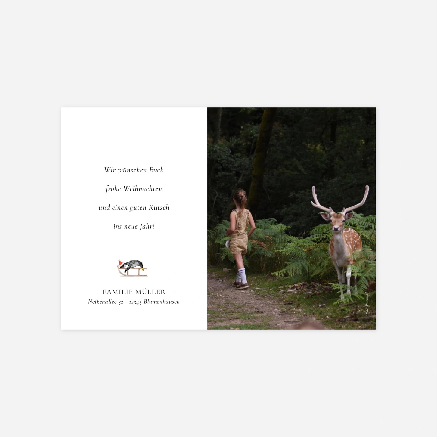 Weihnachtskarte Kleine Eisscholle