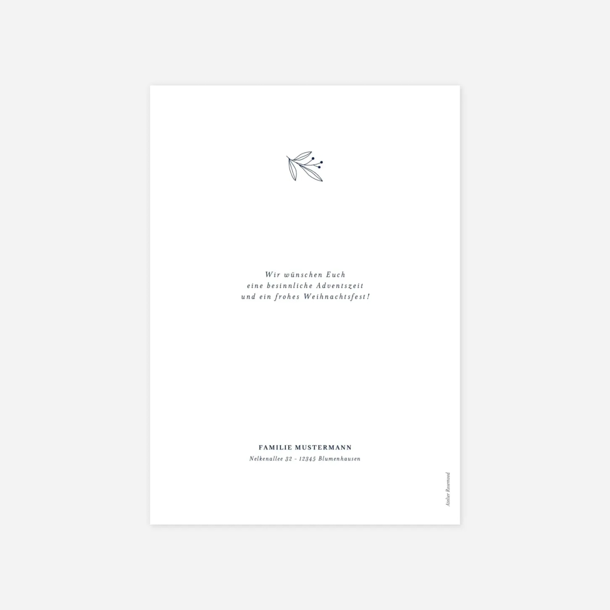 Weihnachtskarte Kleiner Sprössling Fotocollage