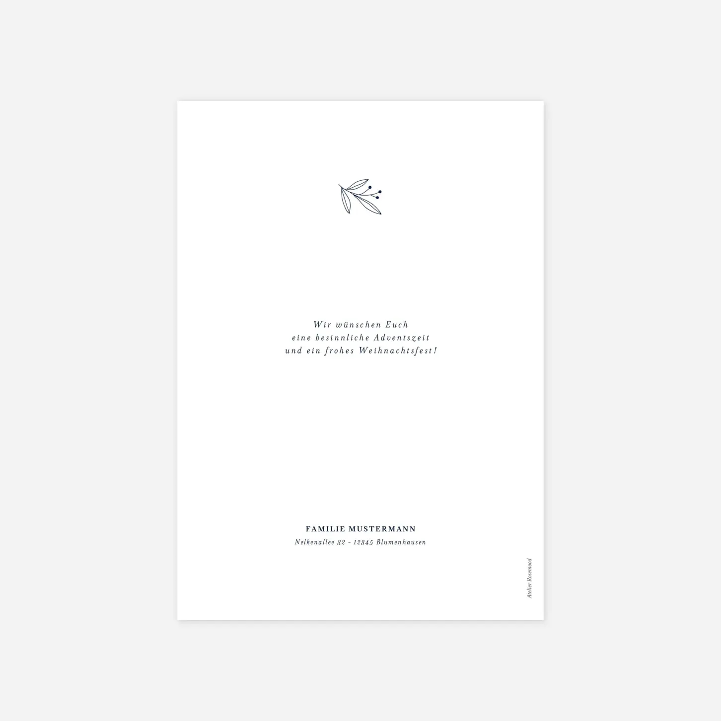 Weihnachtskarte Kleiner Sprössling Fotocollage