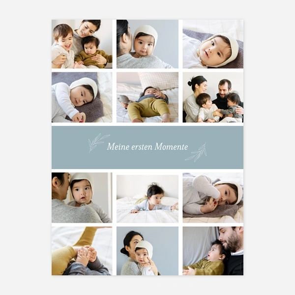 Kleiner Sprössling 12 Fotos