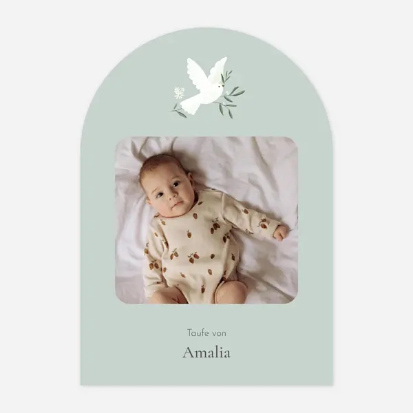 Kleines Täubchen Foto