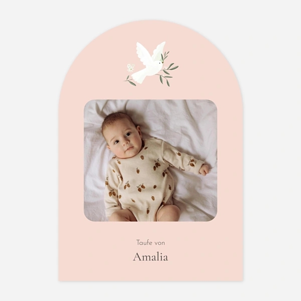 Kleines Täubchen Foto