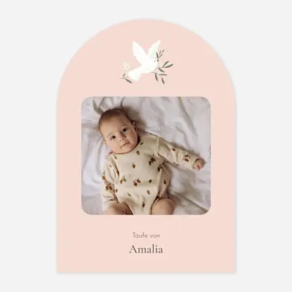 Kleines Täubchen Foto