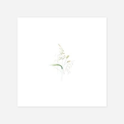 Sommerwiese