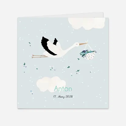 Storch
