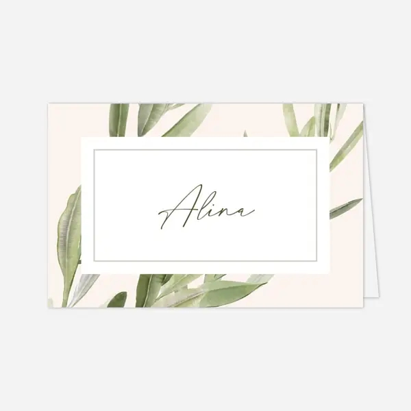 Unter den Olivenbäumen