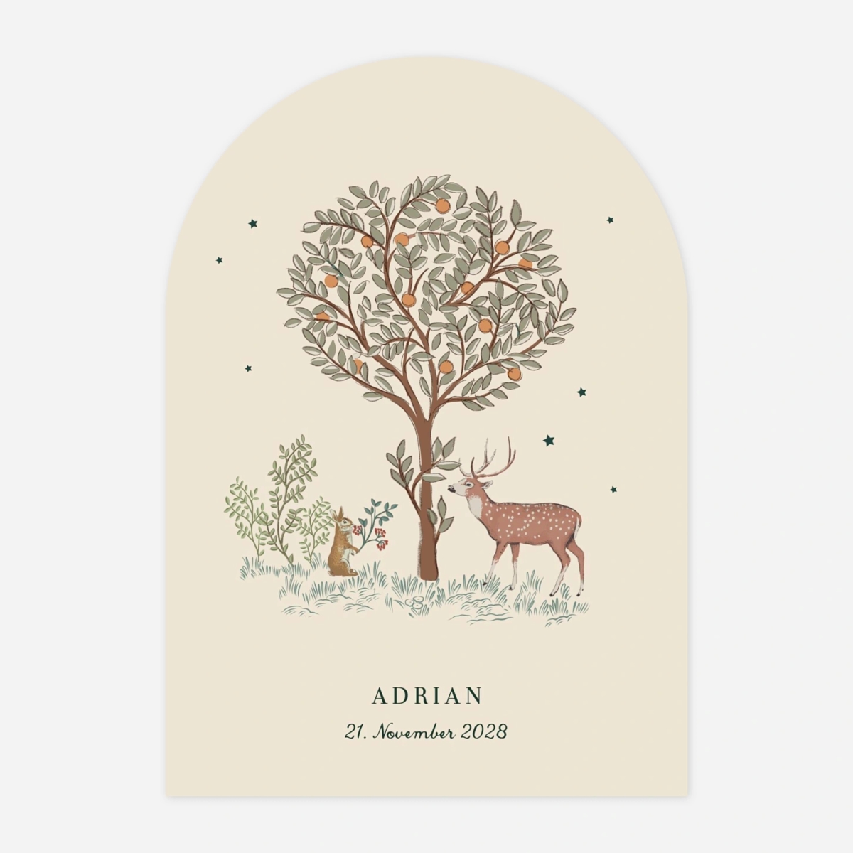 Geburtskarte Weihnachtsgeschichte