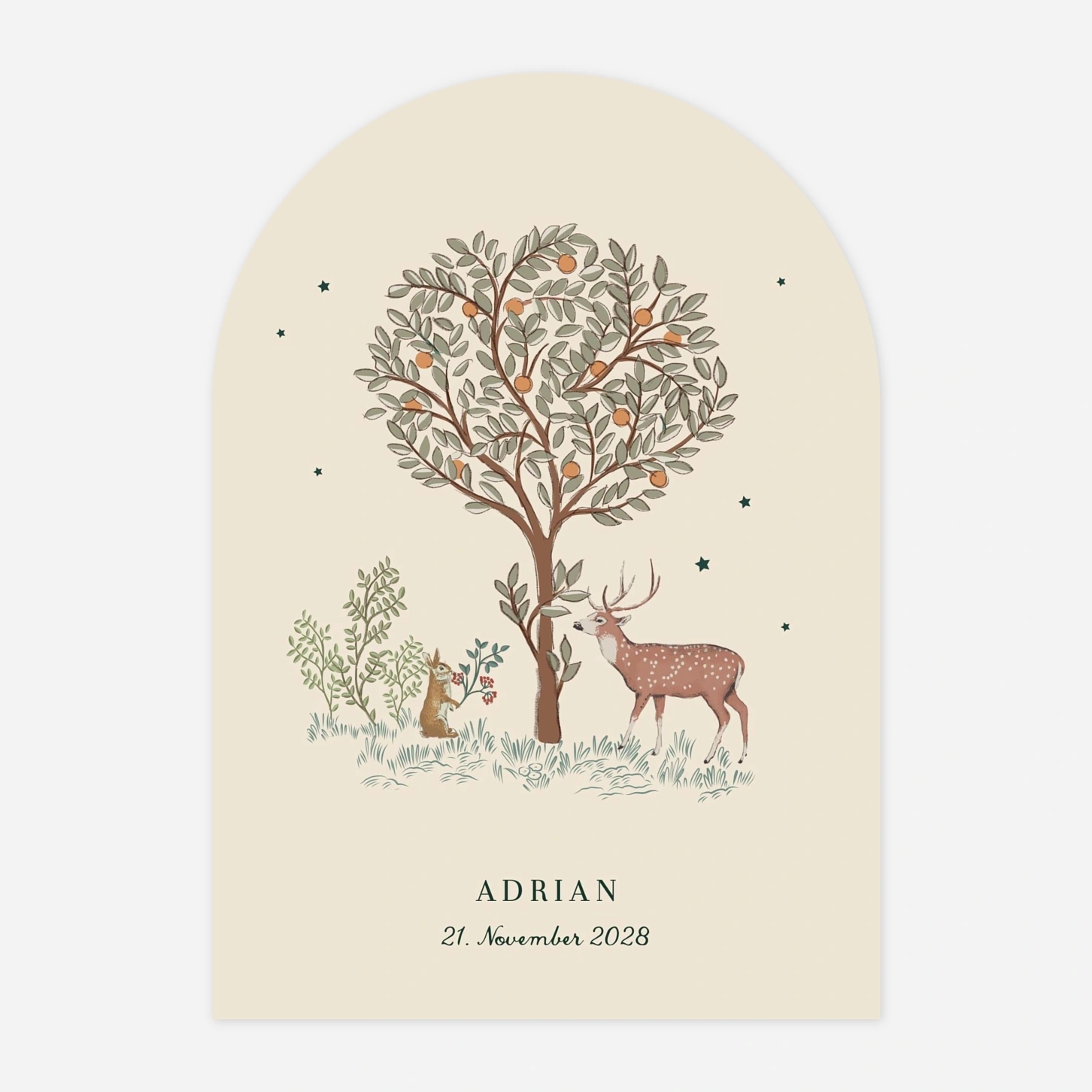 Geburtskarte Weihnachtsgeschichte