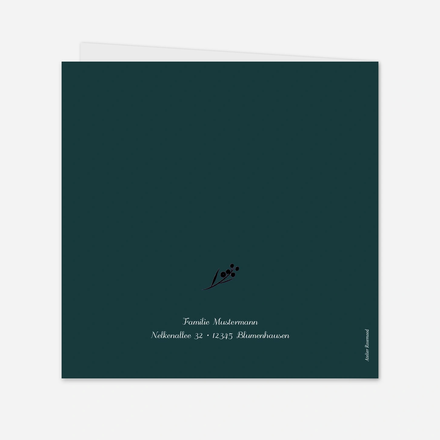 Weihnachtskarte Winterzweige