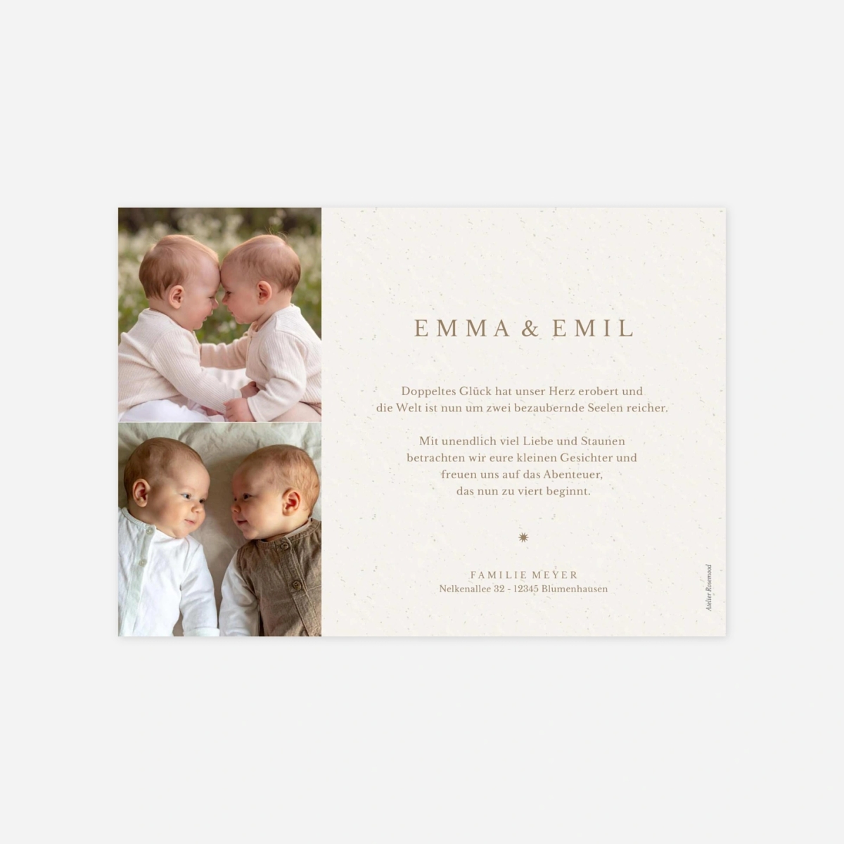 Geburtskarte Zwillingswunder