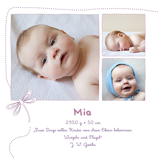 Geburtskarten Libelle Lila - Seite 2