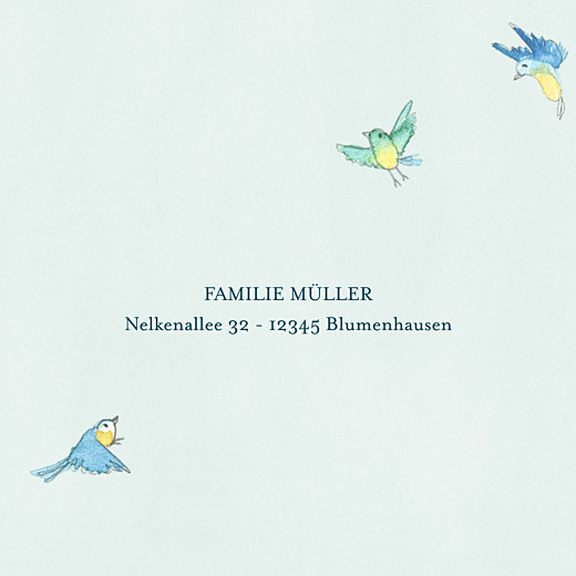 Geburtskarten Frühlingserwachen (Leporello) Zartblau - Seite 5