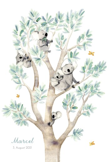 Geburtskarten 6 Koalas Weiß - Vorderseite