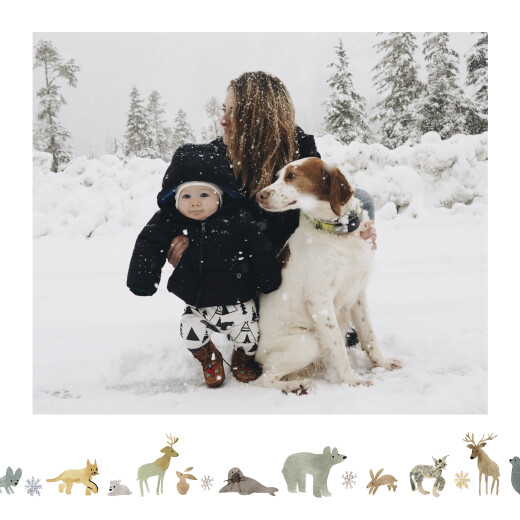 Weihnachtskarten Tundra Weiß - Vorderseite