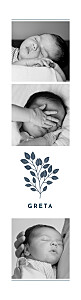 Geburtskarten Blumenornament (fotostreifen) bis blau