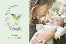 Geburtskarten Kleiner Kolibri Grün