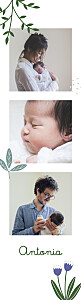 Geburtskarten Bärchen (fotostreifen) bis blau