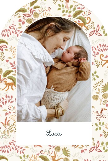 Geburtskarten Kleines Äffchen (Bogenform) Rosa - Vorderseite