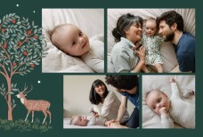 Geburtskarten Weihnachtsgeschichte (lang) grün